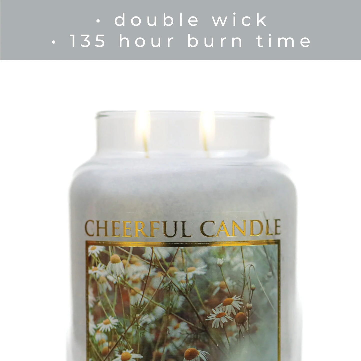 Chamomile & Amber Mist - 24 oz Cheerful Candle | NEW!