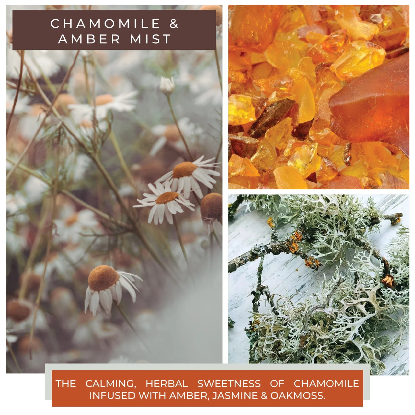 Chamomile & Amber Mist - 16 oz Cheerful Candle | NEW!