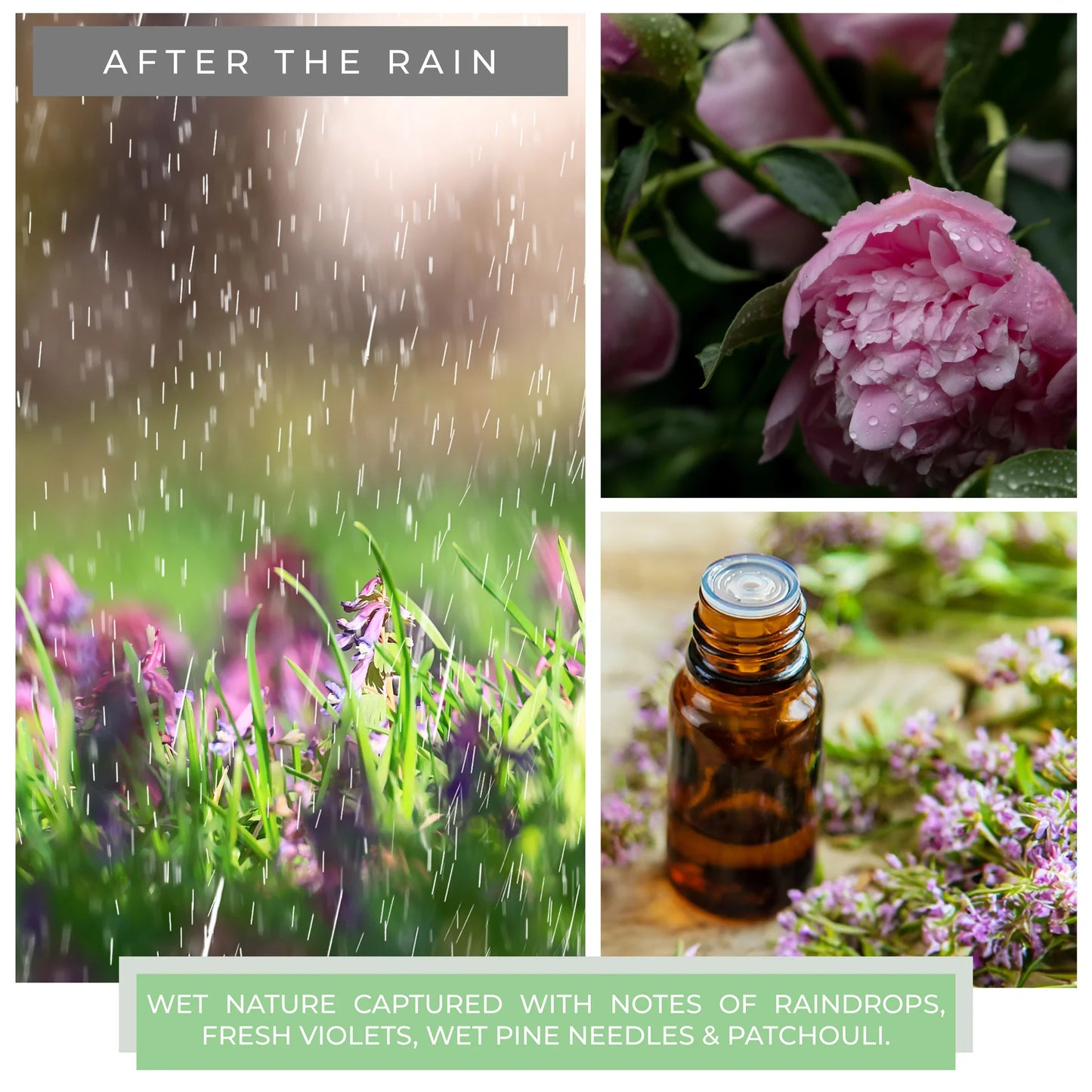 After The Rain - 16 oz Cheerful Candle | NEW!