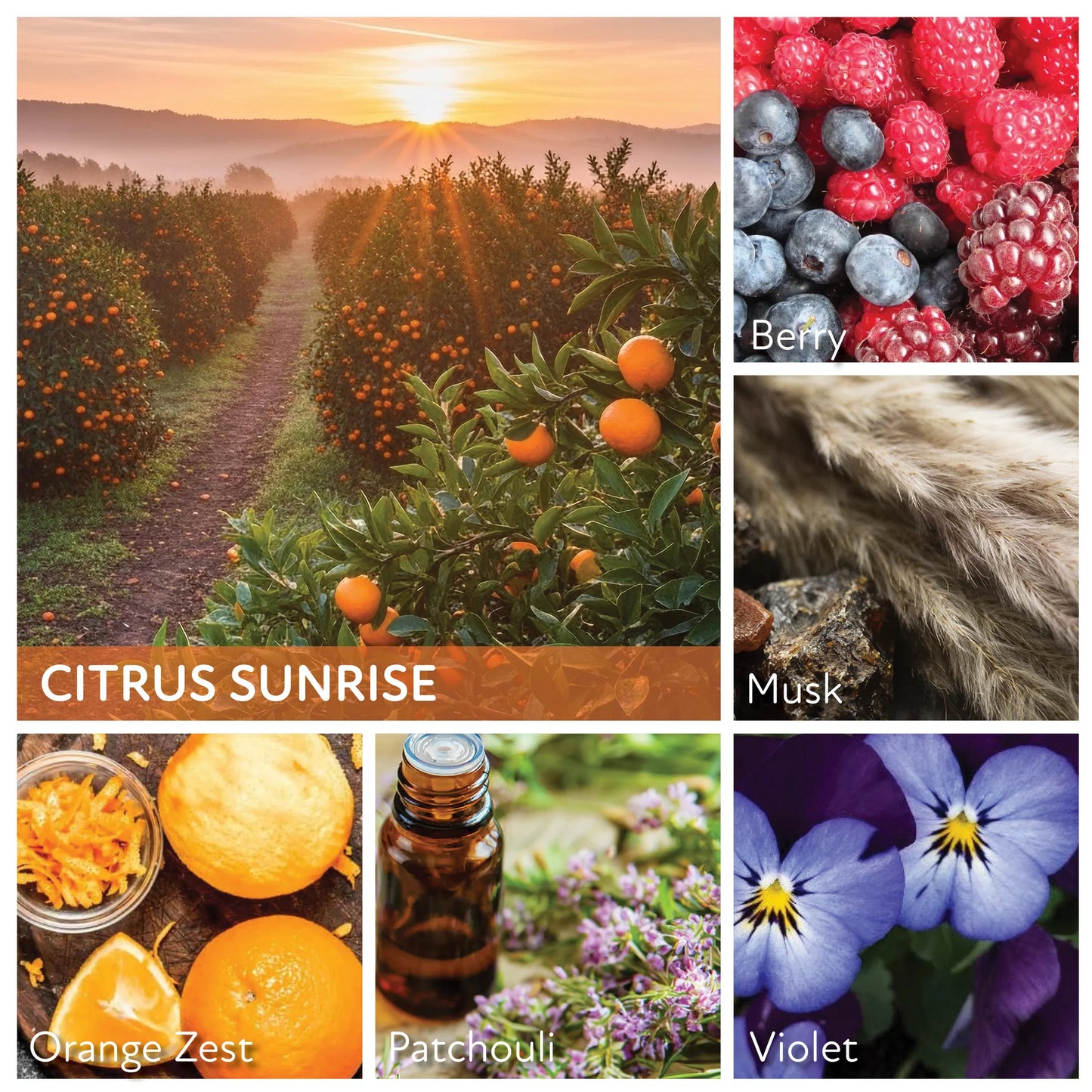 Citrus Sunrise - 24 oz Cheerful Candle