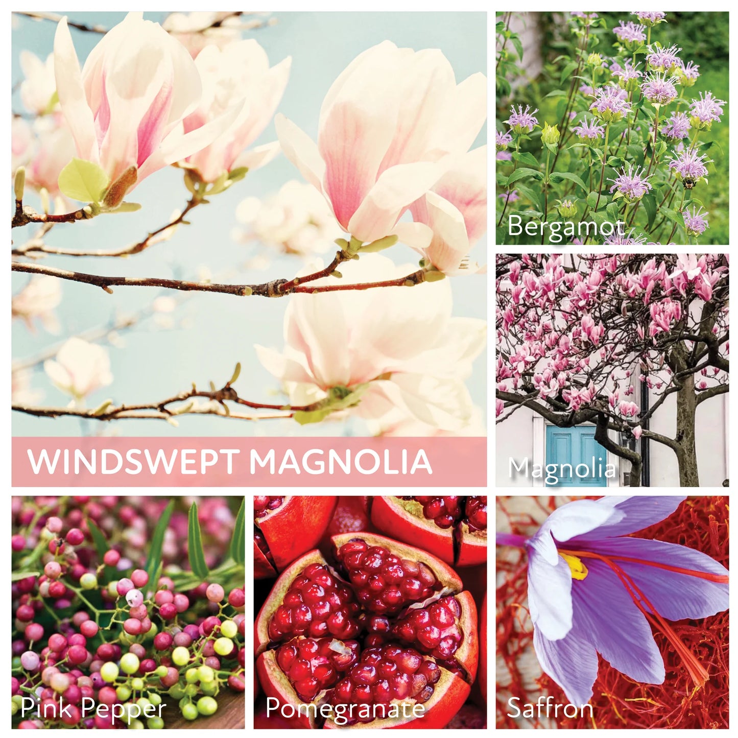 Windswept Magnolia - 24 oz Cheerful Candle